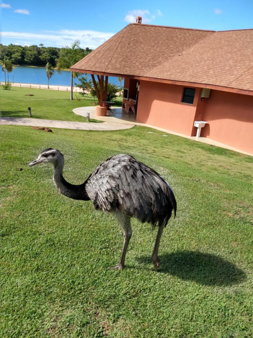 Malai Manso Cotista - Resort Acomodacoes 4 Hosp (Adults Only) Retiro  外观 照片